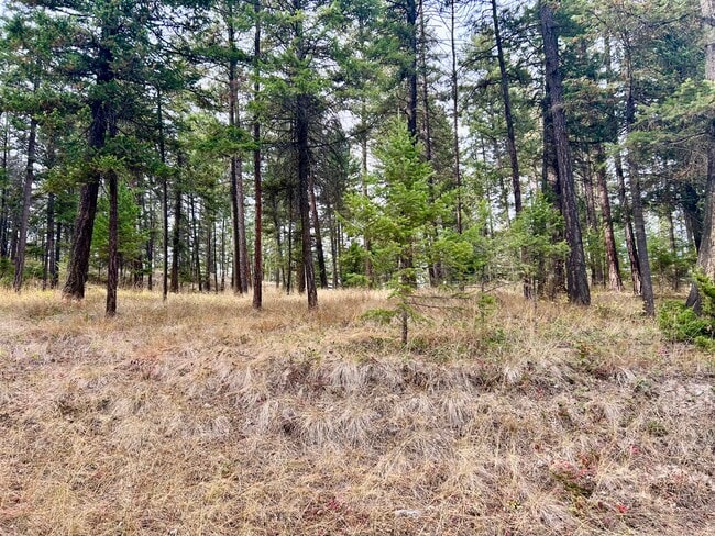 Building Photo - 110 Rimini Rd