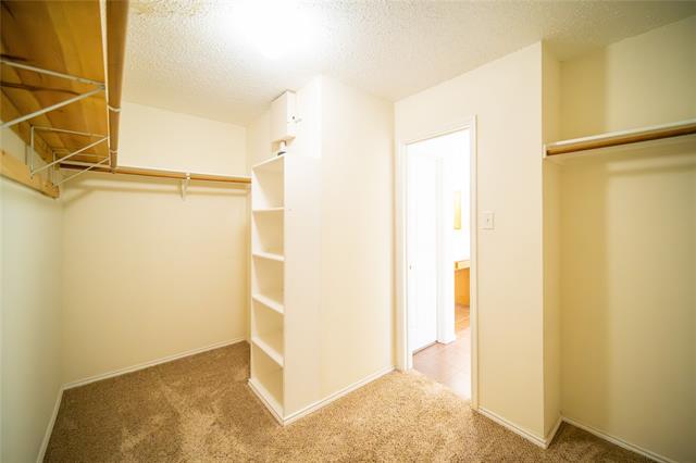 Building Photo - 4500 Shady Hollow Dr