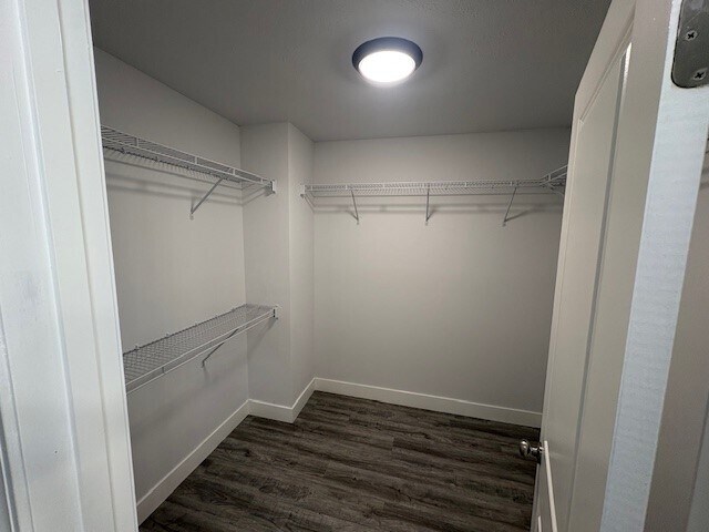 Building Photo - 233 W Lester St