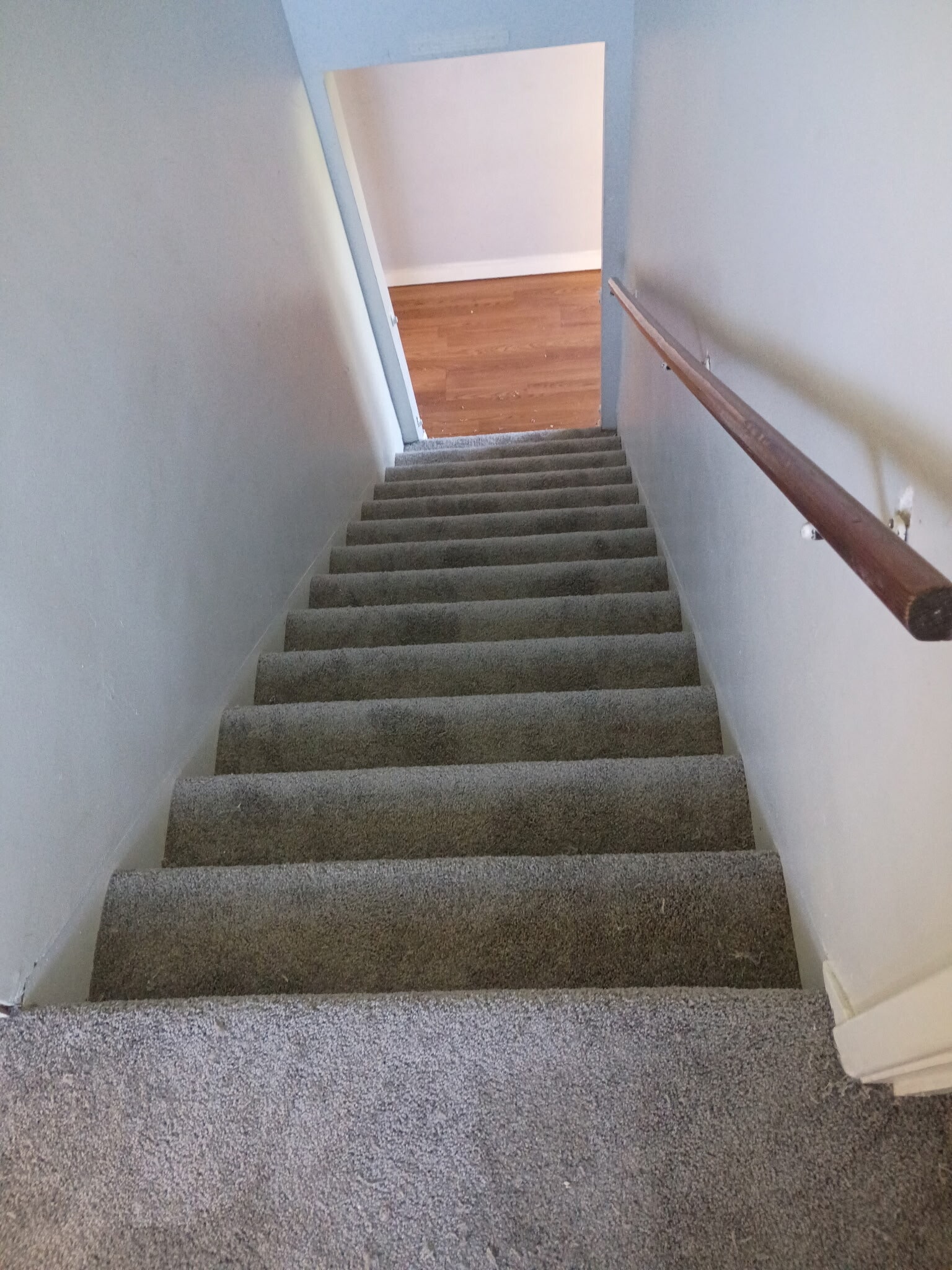 New carpet installed 4/7/26 - 8330 Clough Pike