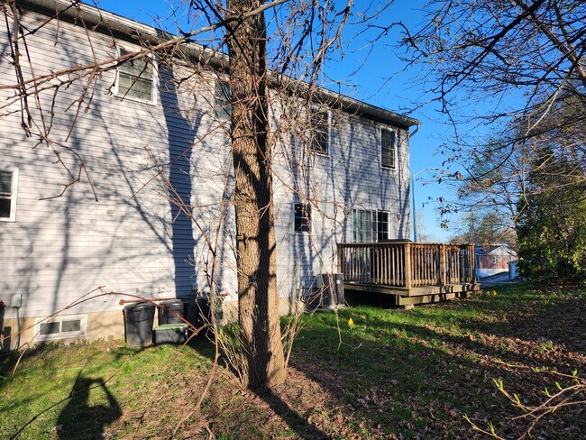 Back Yard/Deck - 1 Rosamond St