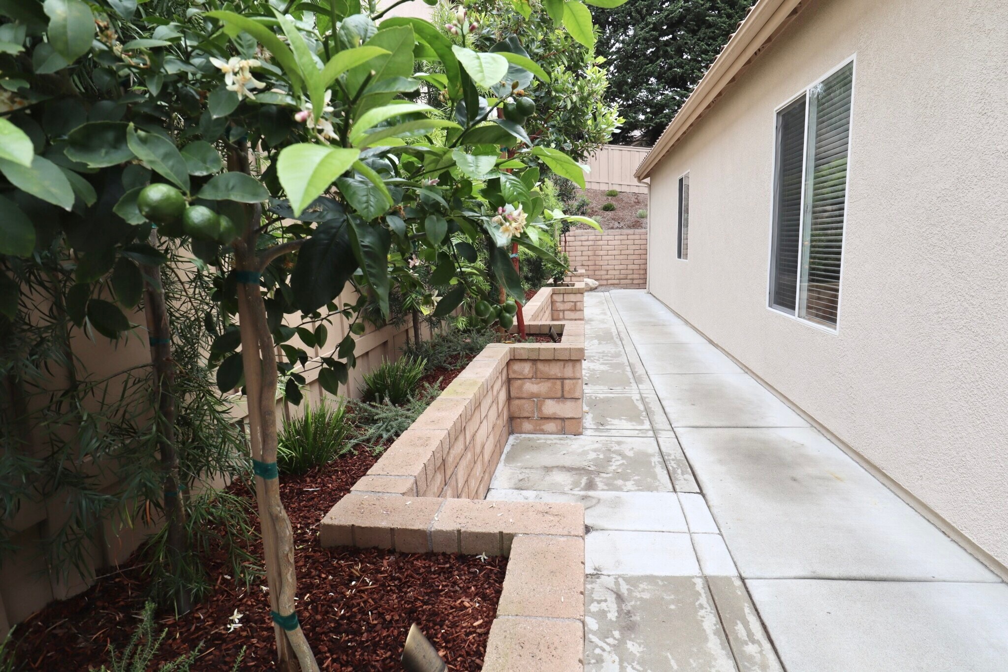 Building Photo - 1174 Mariposa Rd