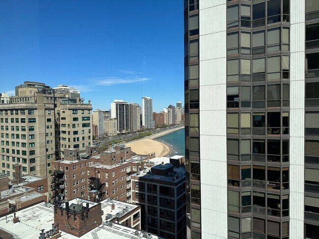 Building Photo - 910 N Lake Shore Dr