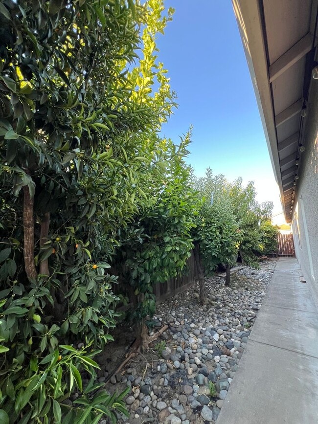 Building Photo - 3 Bedroom - Heart of Roseville