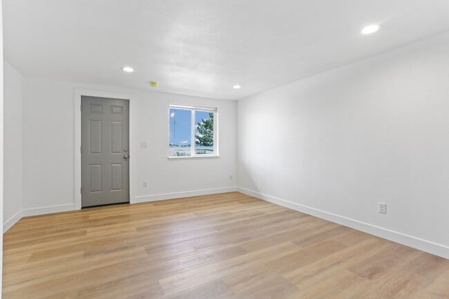 Building Photo - Newly Renovated Studio Available Now!