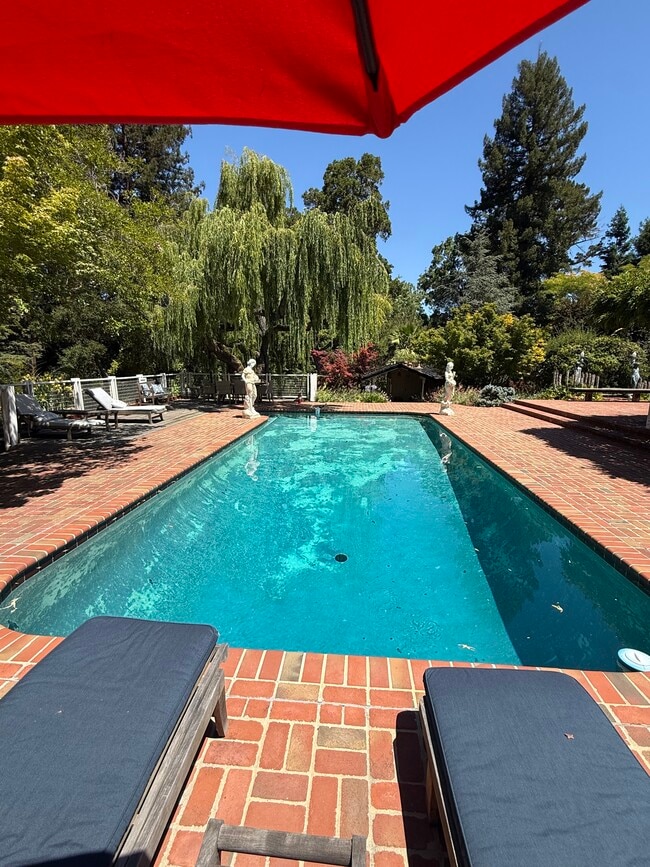 Building Photo - 25567 Willow Pond Ln