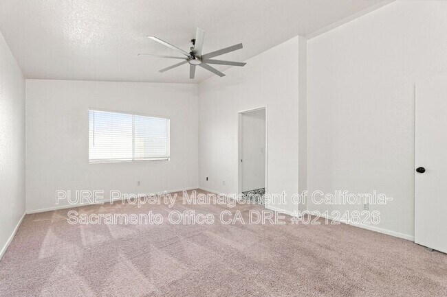 Building Photo - 8742 Weeping Birch Ln