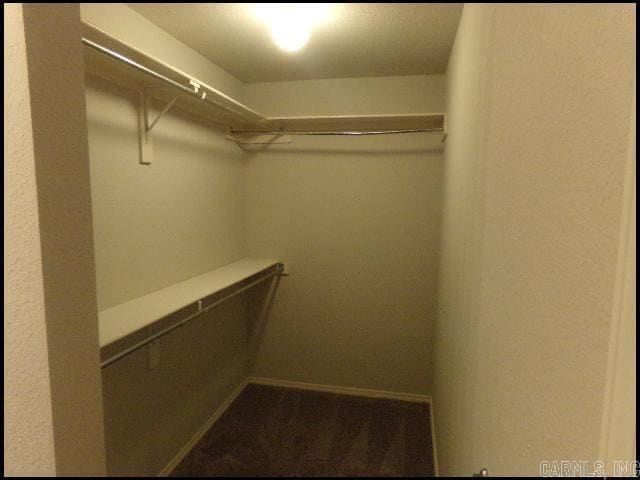 Building Photo - 6097 Saddle Hill Dr