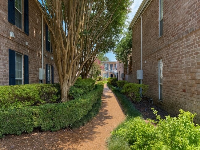 Building Photo - 6402 Del Monte Dr