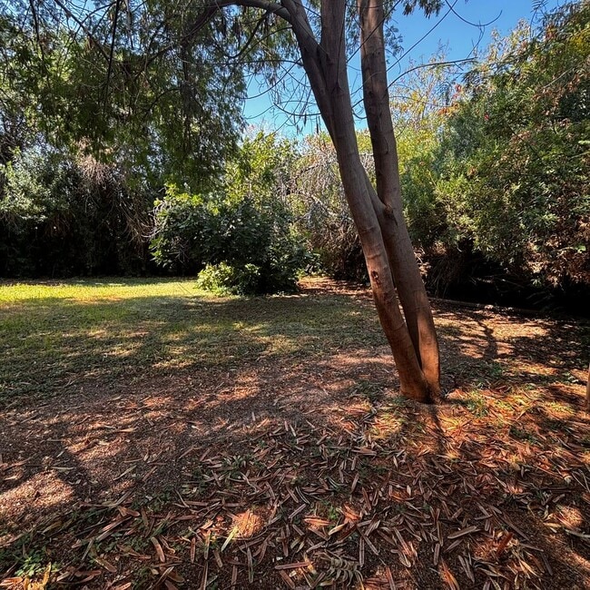 Building Photo - 4 Bedroom House in Hudson Park