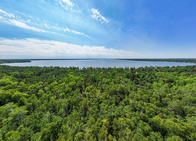 Building Photo - 1241 Birchmont Beach Rd NE