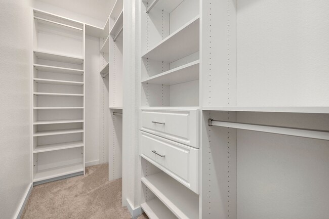 Building Photo - 997 Newport Crk Dr