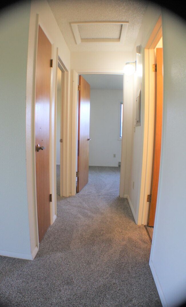 Building Photo - Large 2 bedroom 1 bathroom in the heart of...