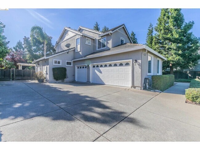 Building Photo - 784 Begonia Dr