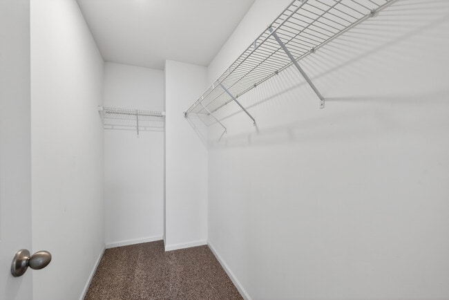 Building Photo - 3831 Currant Ln