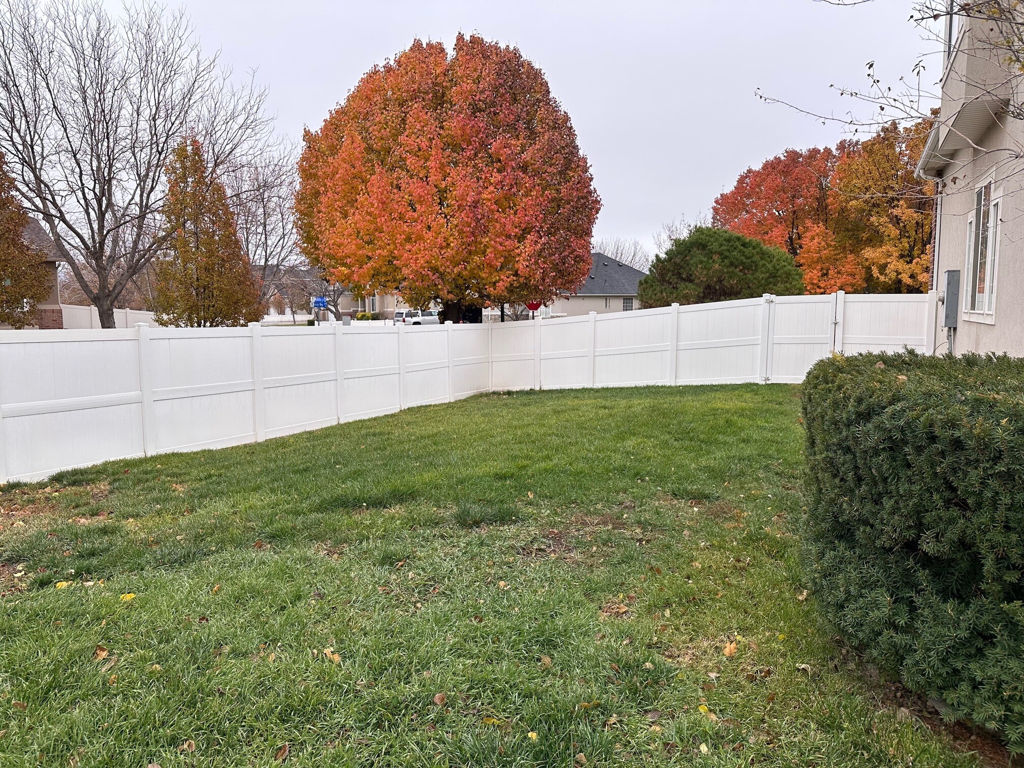 Building Photo - 2824 W Ivory Way