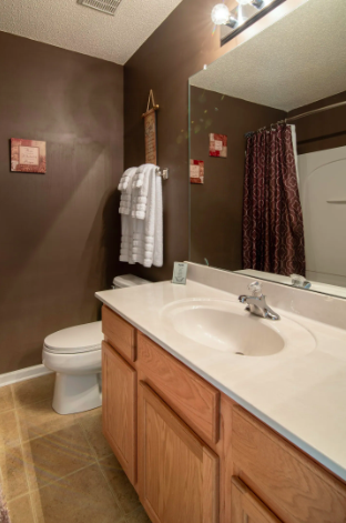 Second Bathroom - 10625 Prairie Ridge Ln