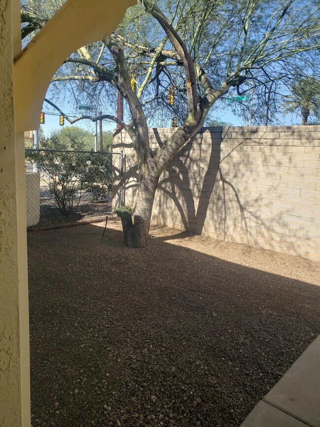 Building Photo - 3560 N Tucson Blvd