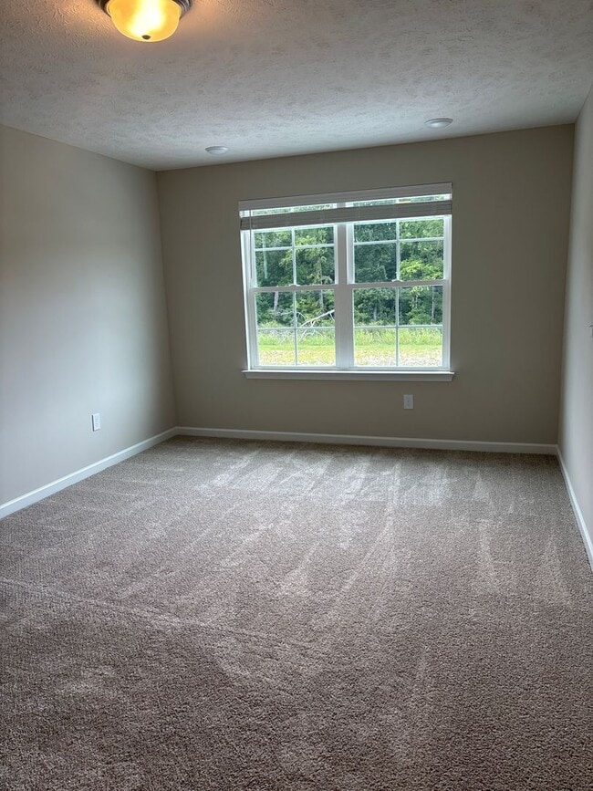 Building Photo - MOVE IN SPECIAL! - BRAND NEW 4 Bedroom Townhome in Shelbyville!