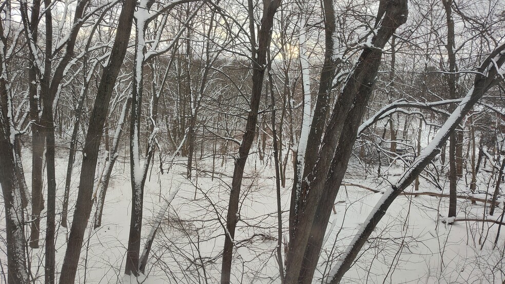 View of the snowy forest from the bedroom - 9 Kenmar Dr