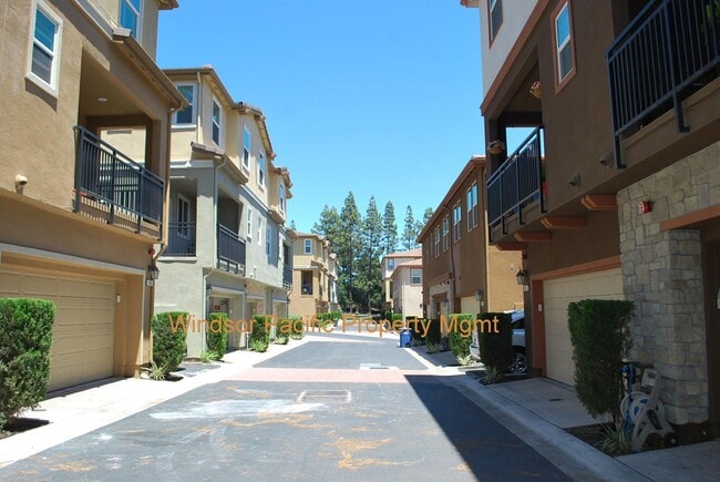 Building Photo - Modern & Luxurious Ryan Terrace Townhouse ...