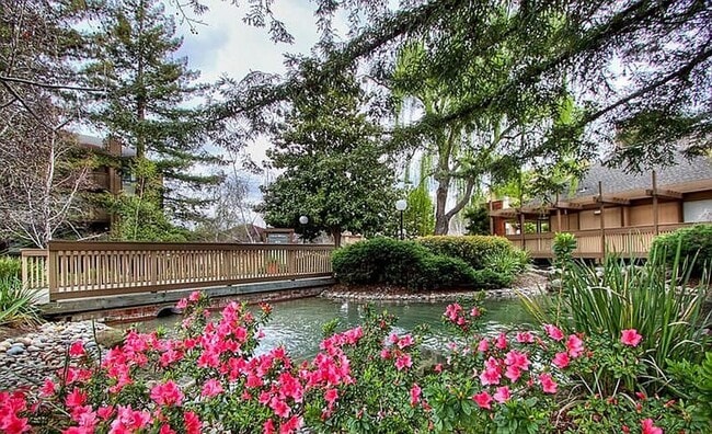 Building Photo - Beautiful and very Spacious 1BR 1BA Condo in Mountain View