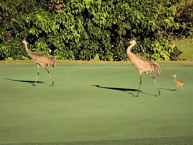 Building Photo - 202 Club Dr