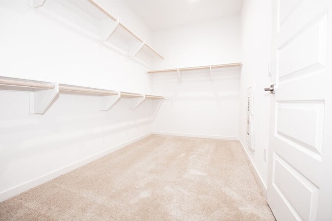 Building Photo - 7039 Mallow Dr