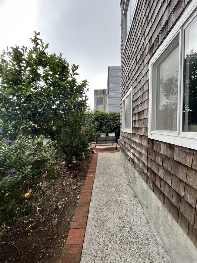 Lemon Trees at your front door - 1482 Innes Avenue