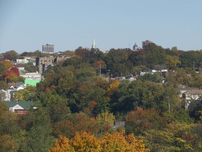 Building Photo - 50 Dey St