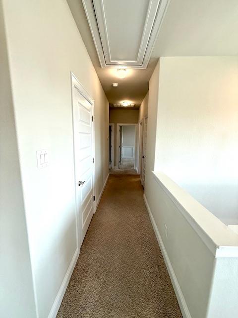 Building Photo - 429 Spiny Lizard Ln