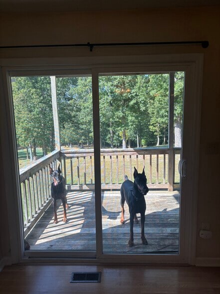 Building Photo - 704 White Tail Way