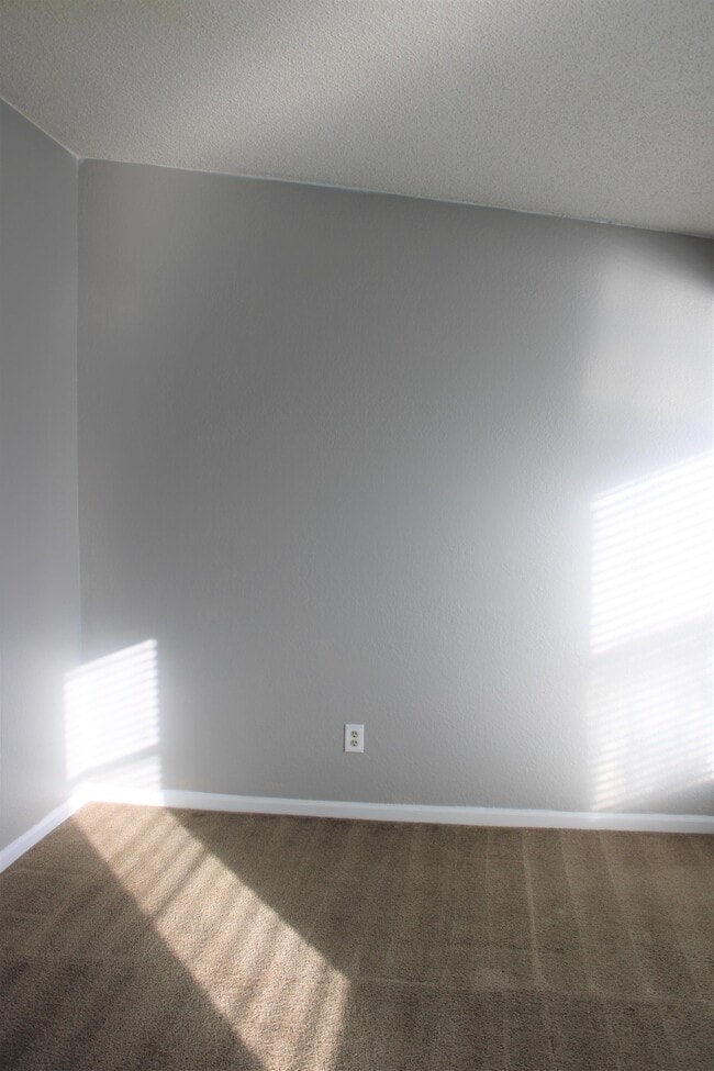 Building Photo - 791 Assisi Ln