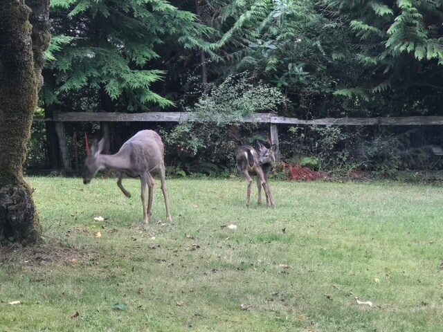 Building Photo - 5201 Scott Rd NW