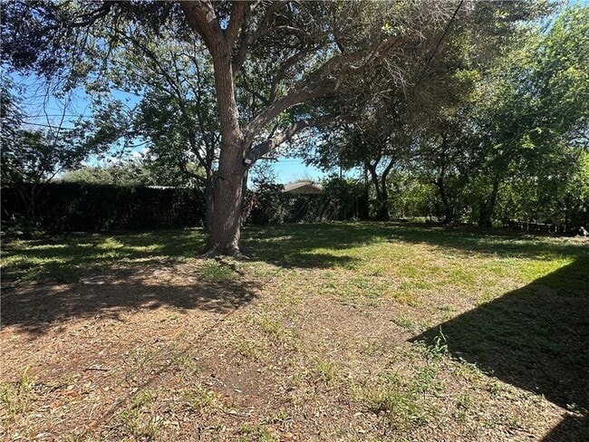 Building Photo - 114 Acacia Arch St