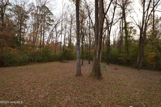 Building Photo - 307 Stillwood Dr
