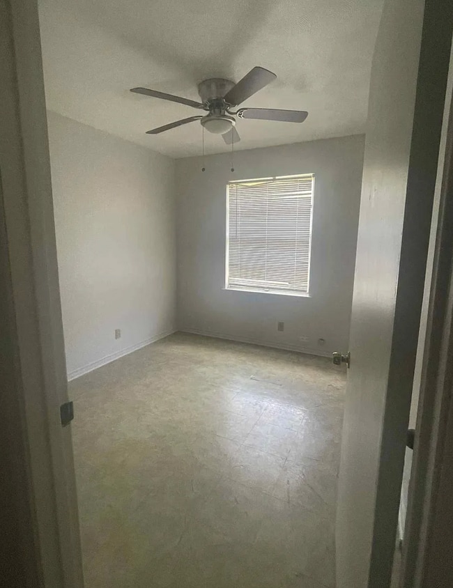 Building Photo - 119 Palm Oak Dr