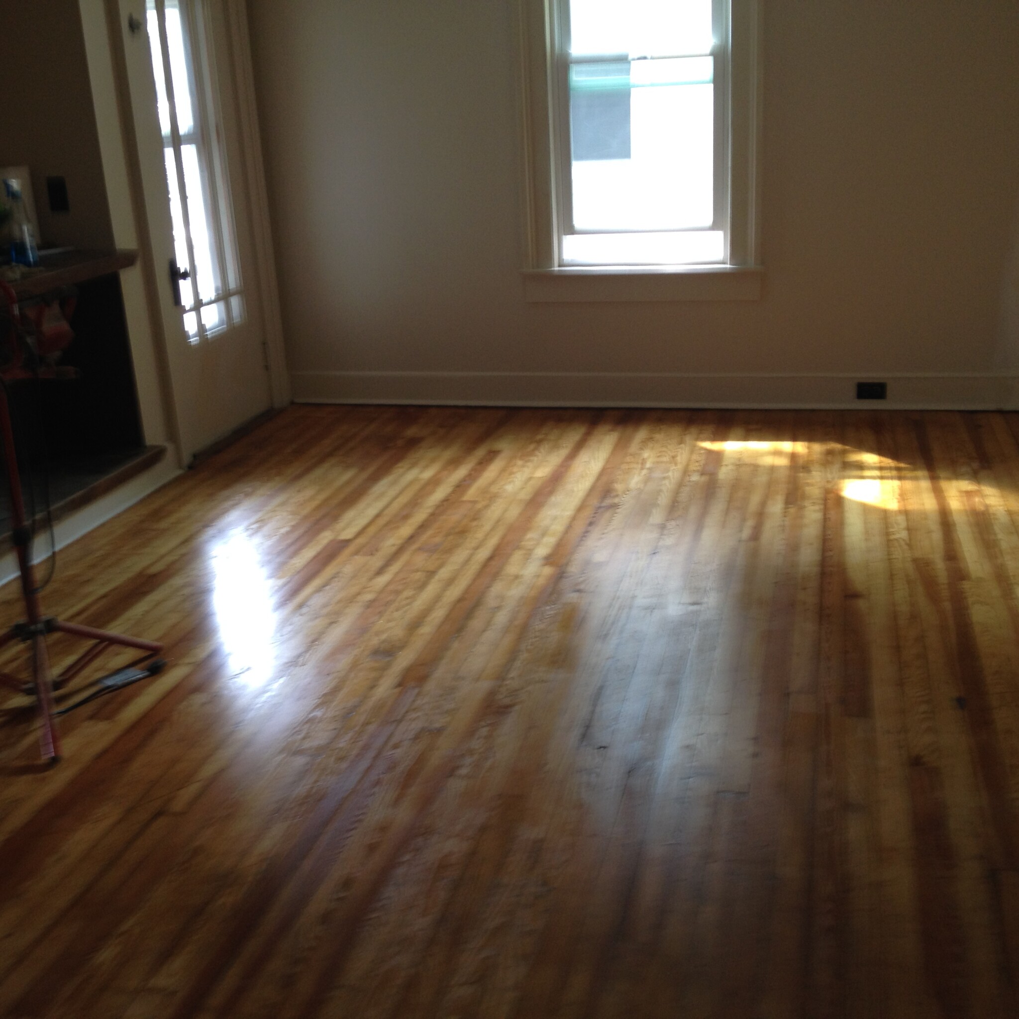 Living Room - 1211 Marion St