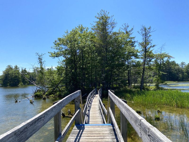 Ludington State Park - 6023 Barnhart Rd
