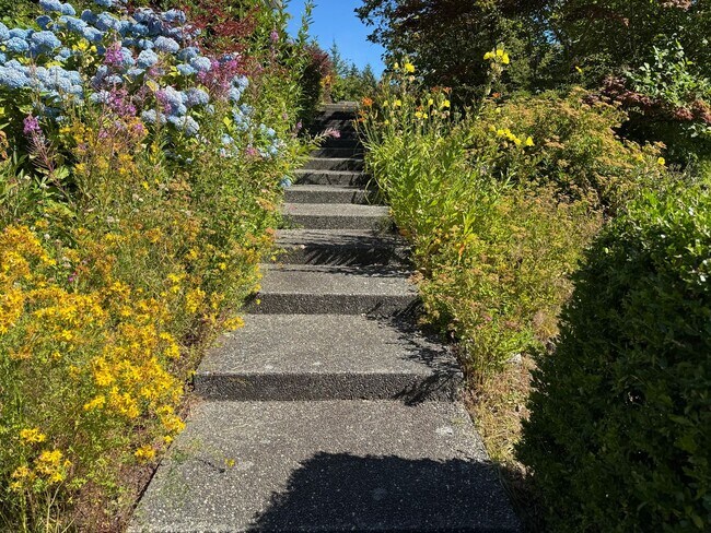 Building Photo - Fully Furnished ALL UTILITIES INCLUDED