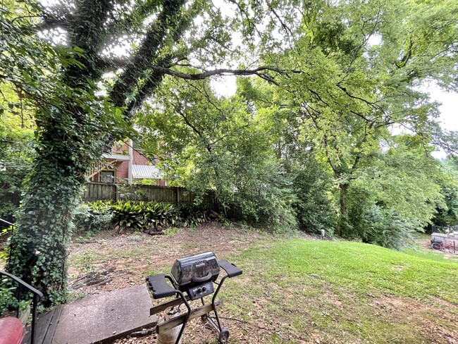 Shared backyard space - 3343 Old Montgomery Hwy