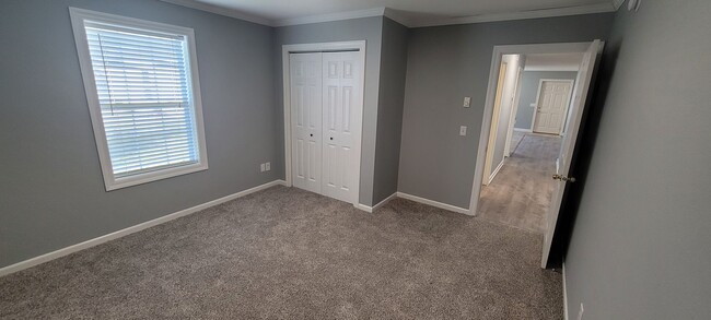 Building Photo - 3 Bedroom Single Floor House