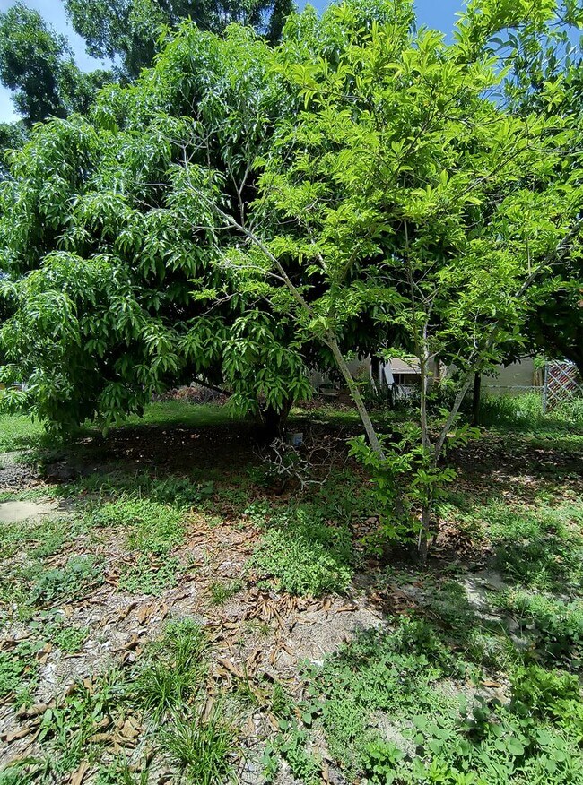 Building Photo - Spacious 3-Bedroom 1.5 Bathroom House for ...