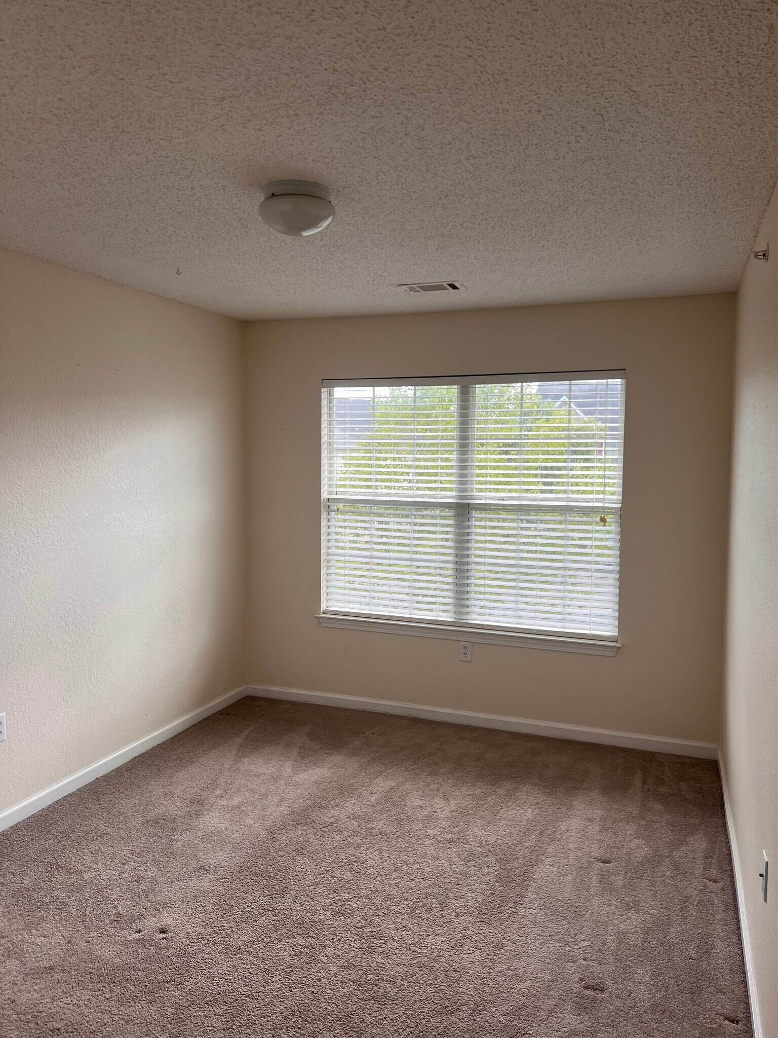 Building Photo - 240 Swaying Pine Ct