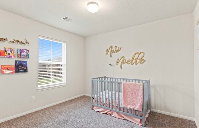 Building Photo - 3023 Narrow Stream Way