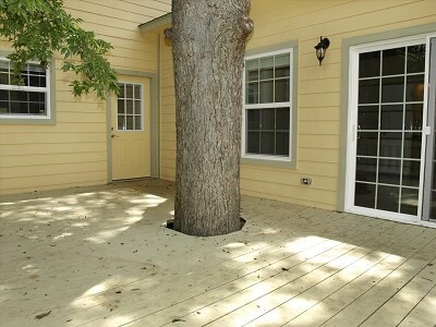 Building Photo - 5308 Duval St