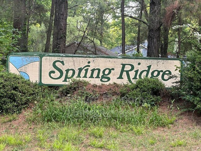 Building Photo - 119 Spring Ridge Dr