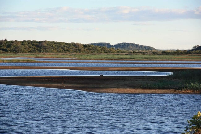 Building Photo - 32 Basin St