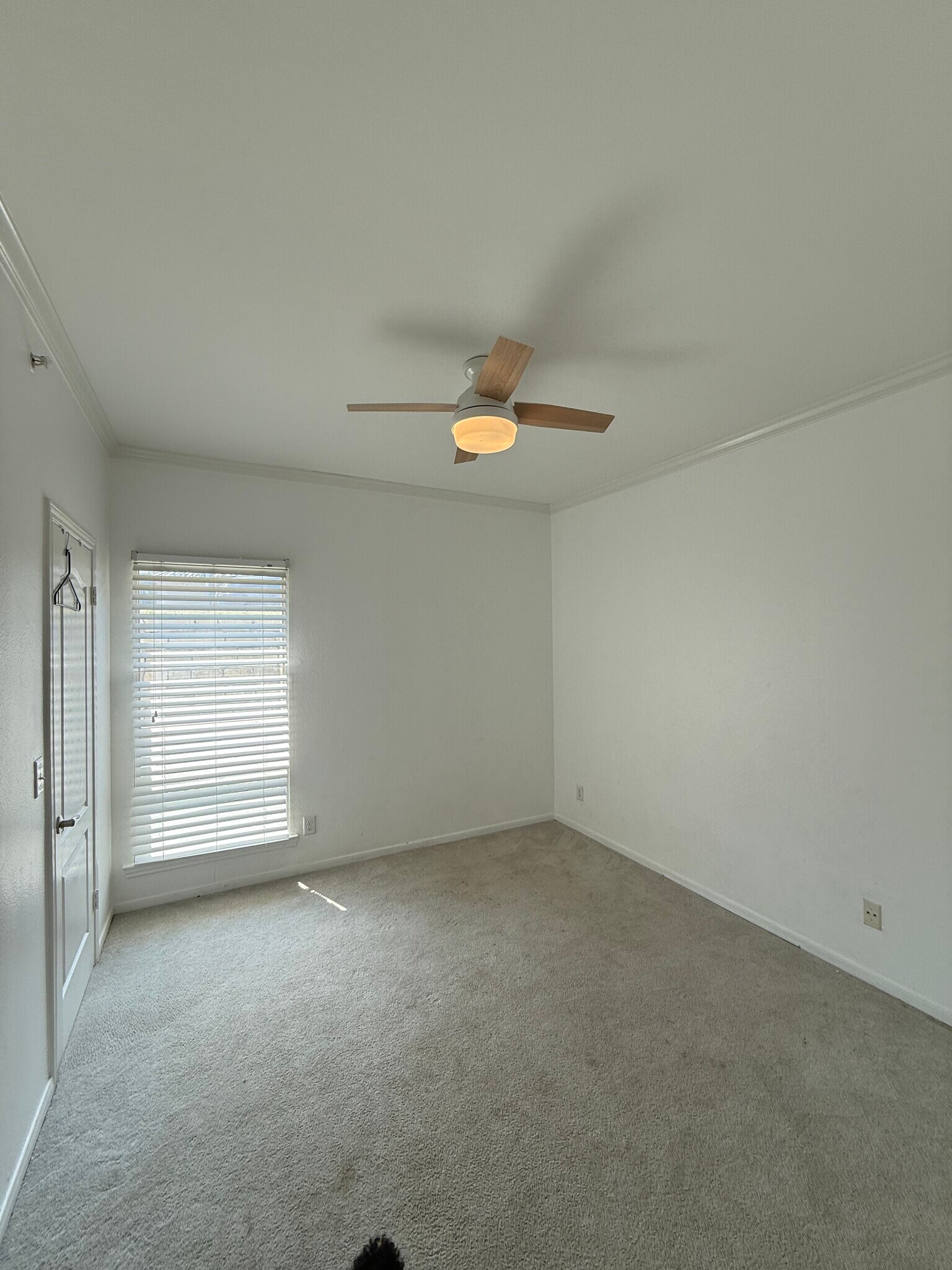 Building Photo - 6000 Shepherd Mountain Cv