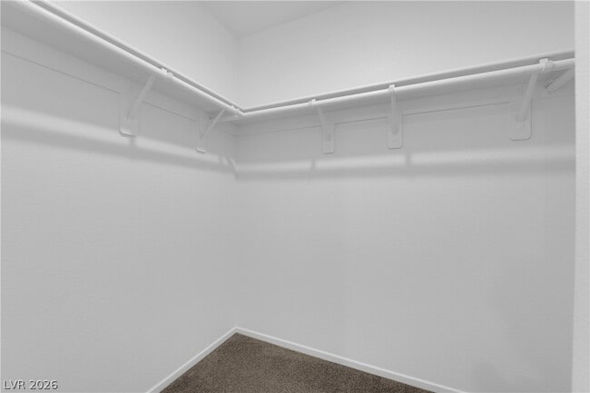 Building Photo - 1114 Scarlet Sparrow St